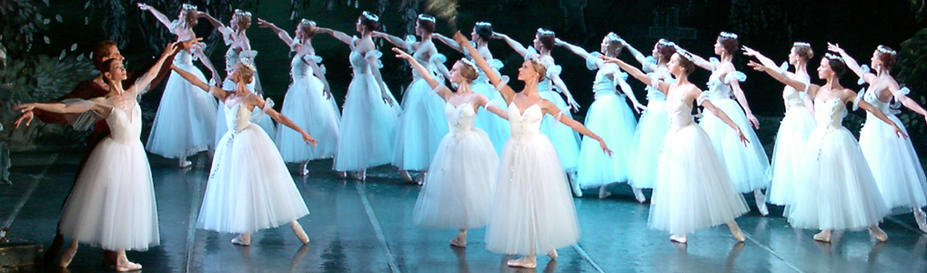 The Hermitage Ballet