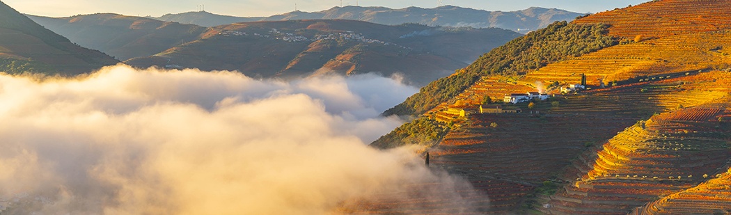 Douro Jewish Tours Portugal