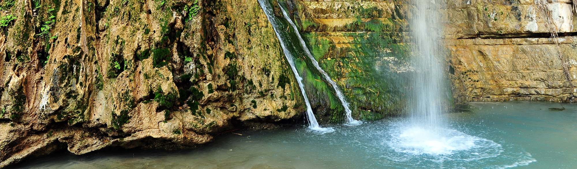 Jewish tours to Ein Gedi and Israel