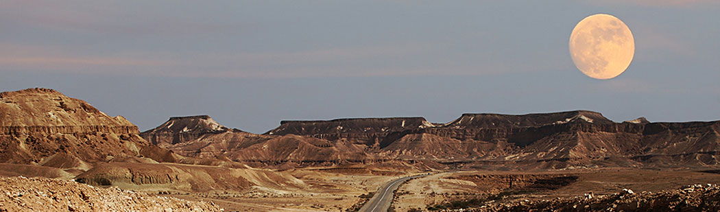 Israel Negev