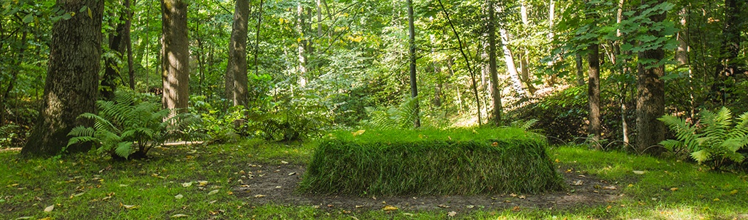 Jewish tours paying respect to Leo Tolstoy at his grave at estate