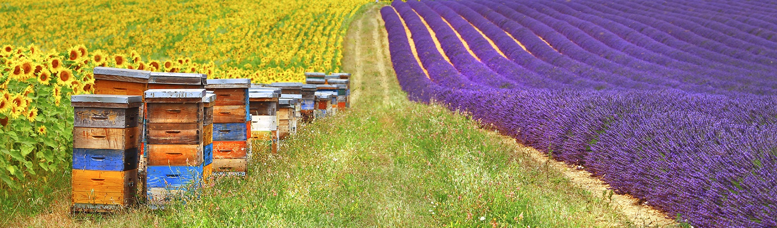 Jewish Tours to France