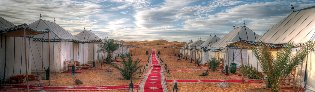 JEwish tour including Sahara